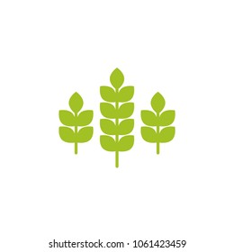 Three ears of wheat, barley or rye. Green icon Icon isolated on white. Logo for eco company, agriculture, nature firm, ecology, healthy organic and farm fresh food. Vector Illustration