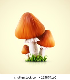 Three edible mushroom. Illustration contains transparency and blending effects, eps 10