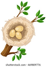 Three eggs in bird nest illustration