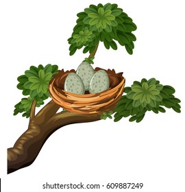 Three eggs in bird nest illustration