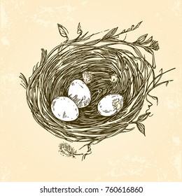 Three eggs in the nest. Vintage style. Vector illustration.