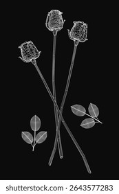 Three elegant roses drawn in black and white on a dark background, featuring intricate petal details and textured leaves. The stems are finely shaded, creating depth and realism.