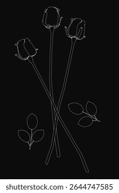 Three elegant roses outlined in white against a stark black background, creating a striking monochrome contrast. The detailed line drawing features delicate petals and subtle shading for a timeless.