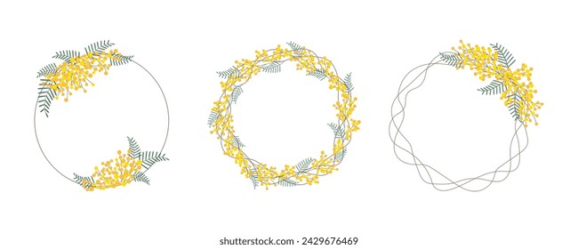 Tres elegantes marcos redondos con Flor Mimosa. Guirnalda Botánica Floral de temporada linda aislada en blanco. Ramas amarillas florecientes. Elemento de diseño para tarjeta de felicitación, invitación. Ilustración plana