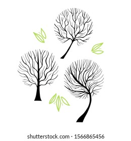 Three Elegant Vector Treies. Eco and Health Concept. Nature Illustration. EPS 8