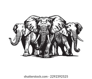 Three elephants isolated on white background, vector illustration  svg