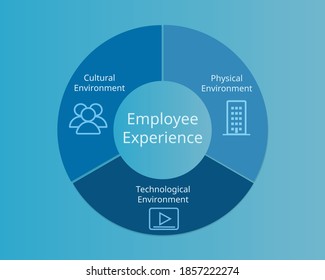 Tres entornos que crean el vector de experiencia de los empleados