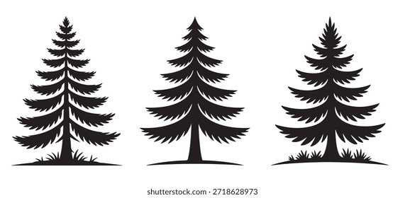 three evergreen trees silhouette vector illustration