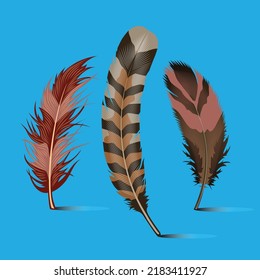 Three feather illustrations of bird, hen and other animals. 