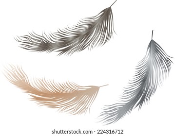 three feathers