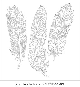 Three feathers. Black and white drawing. Coloring page.