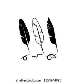 three feathers on white background