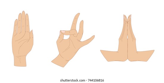 Three female hands in characteristic gestures of Indian dance, vector illustration, isolated on white background