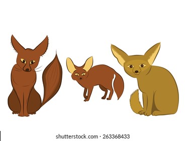 Three fennec Foxes 