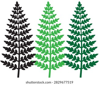 Three fern tree plant illustrations in black light green dark green colors botanical illustration silhouette tropical fernleaf decoration woodland fernfrond perennial gardening