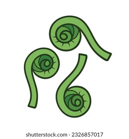 Three fiddleheads vegetable vector icon green colored illustration isolated on square white background. Simple flat cartoon vegetable healthy natural food ingredients drawing.