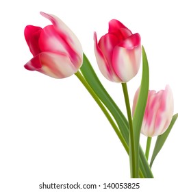 Three fine flowers isolated on white. And also includes EPS 10 vector