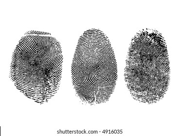 Three finger prints isolated on white (vector)