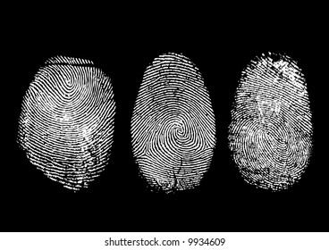 Three finger prints isolated on black (vector)