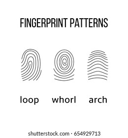 231 Arch fingerprint Images, Stock Photos & Vectors | Shutterstock