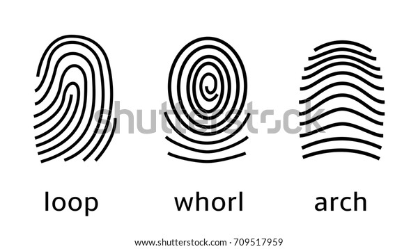 Three Fingerprint Types On White Background Stock Vector (Royalty Free ...