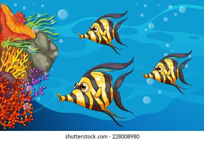 Three fish on a tropical reef