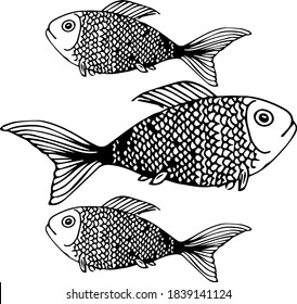 Drei Fische schwimmen in verschiedene Richtungen. Fischzeichnung.