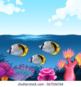 Three fish swimming under the ocean illustration