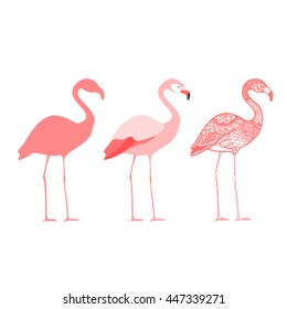 Three flamingos, isolated vector illustration