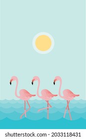 Three flamingos on the beach