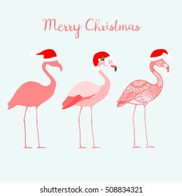 Three flamingos with Santa Claus hats, isolated vector illustration