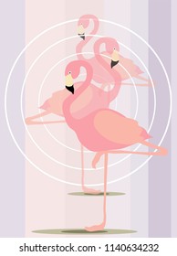 
three flamingos stand one after the other