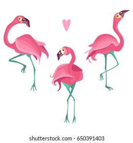 Three flat flamingo birds vector set, isolated on white