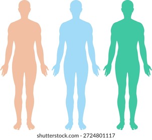 Tres siluetas planas del cuerpo humano en colores pastel, estilo médico mínimo del Vector con los contornos limpios