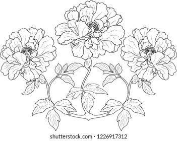 three flower buds drawn by line