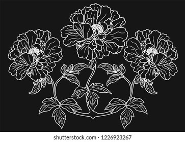 three flower buds drawn by white line on black background