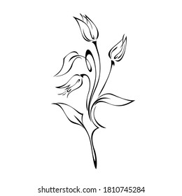 three flower buds on curved stems with leaves in black lines on white background