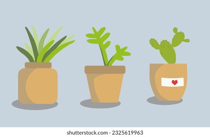 tres macetas de flores de diferentes formas. colores diferentes