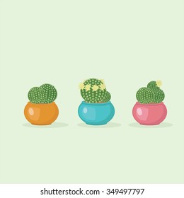 Three flowering cactuses of different colors in flower pots. Vector illustration. Can be used in web design, printed on fabric/paper, as a background, or as an element in a composition.