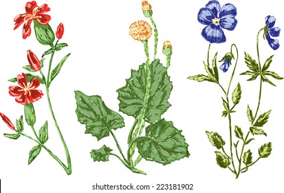 three flowers