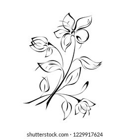 three flowers with buds on stems with leaves in black lines on white background