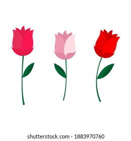 Tres flores. Un elemento de diseño para las vacaciones. Ilustración plana con flor roja, blanca y rosa