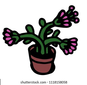 Three flowers in a flowerpot