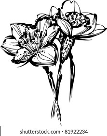 three flowers of narcissus