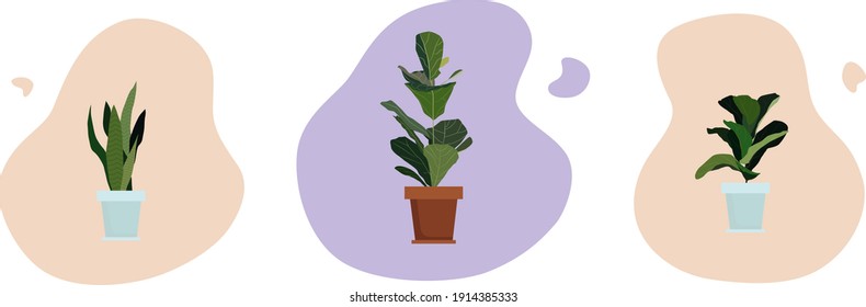 Drei Blumen auf abstraktem Hintergrund. Monstera in einem Topf, Sansevieria in einem Topf.Flat Cartoon Stil Vektorgrafik.