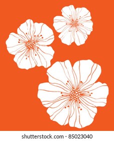 Three flowers on orange