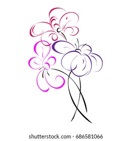 three flowers on white background