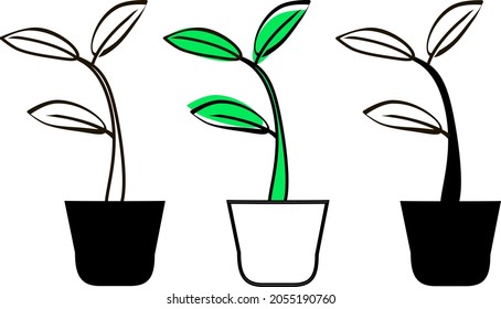 Three flowers or plants in three pots is a vector icon or logo isolated on white background. Can be used to create and print a brand logo.