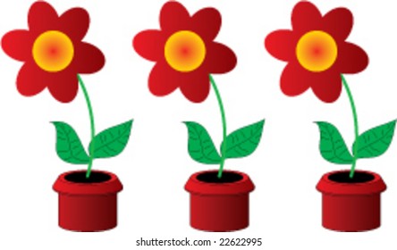 Three flowers in a pot