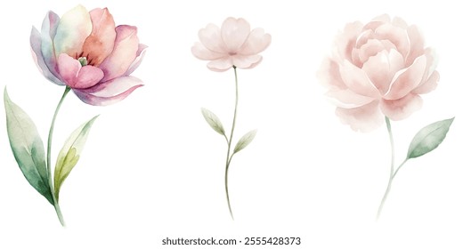 Three flowers are shown in a watercolor painting. The flowers are pink and are arranged in a row. The painting has a soft and delicate feel to it